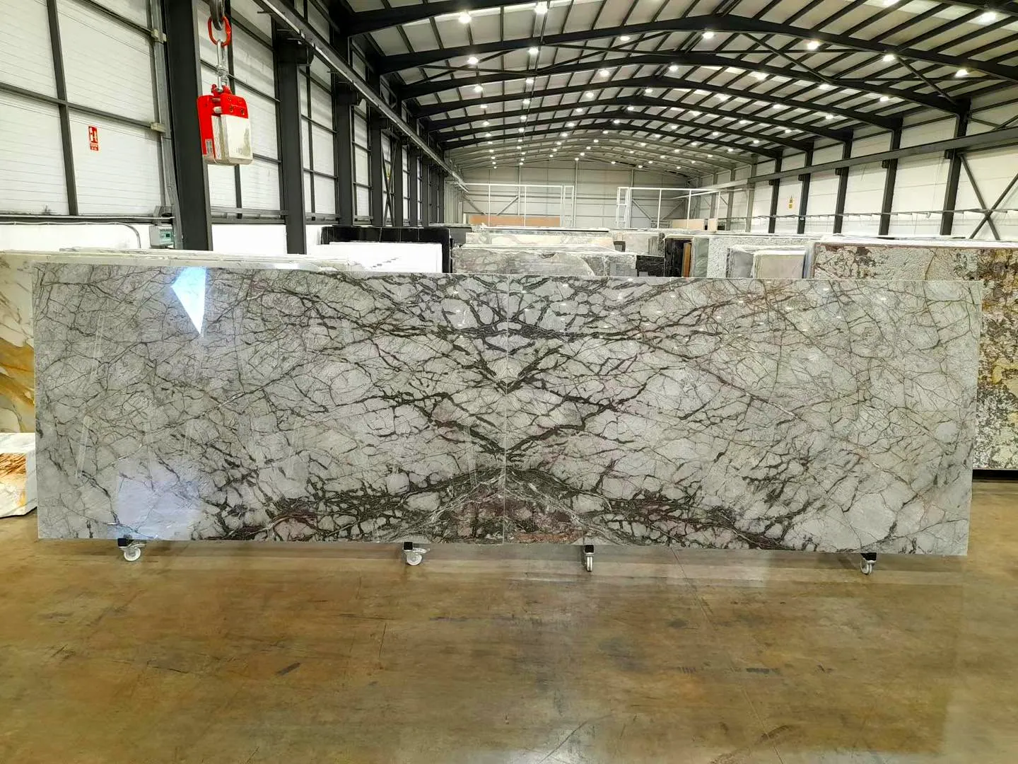 Grey Root: real slab in our warehouse