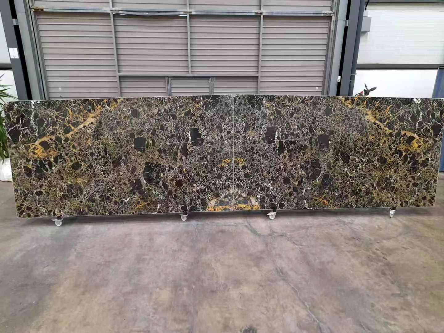 Portoro Dominicano: real slab in our warehouse